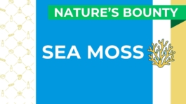 Sea Moss