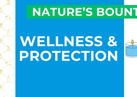 Wellness & Protection